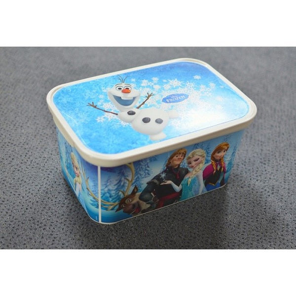 Curver Frozen Small Storage Box