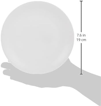 Borosil Plano Quarter Plate 19 cm