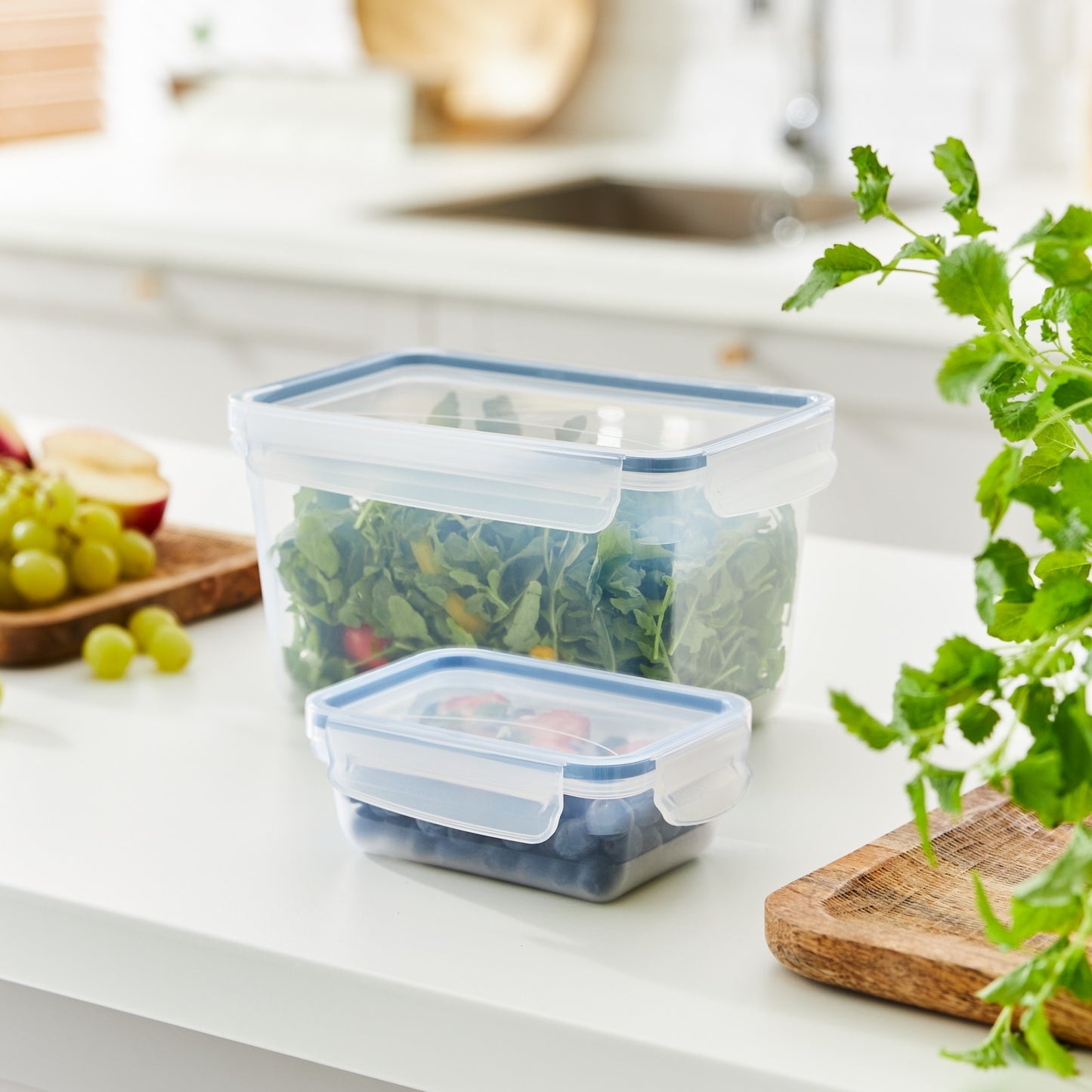 Rotho Clic and Lock Foodkeeper- 3 L