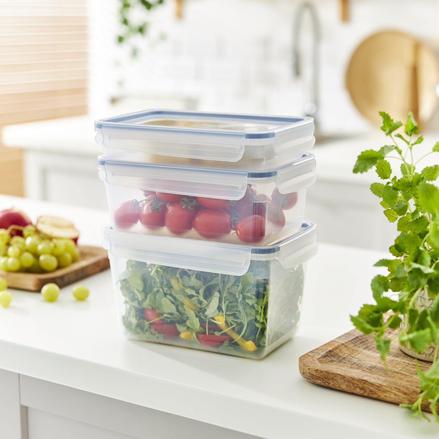 Rotho Clic and Lock Foodkeeper- 3 L