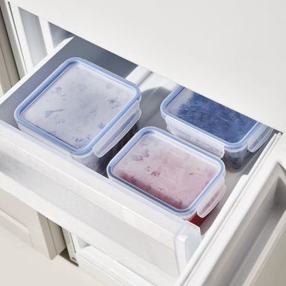 Rotho Clic and Lock Food Keeper - 0.8L