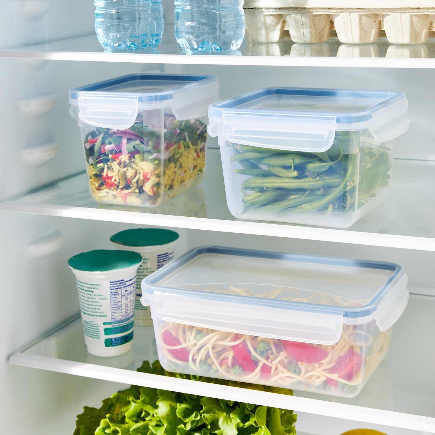 Rotho Clic and Lock Food Keeper - 1 L