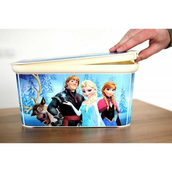 Curver Frozen Small Storage Box