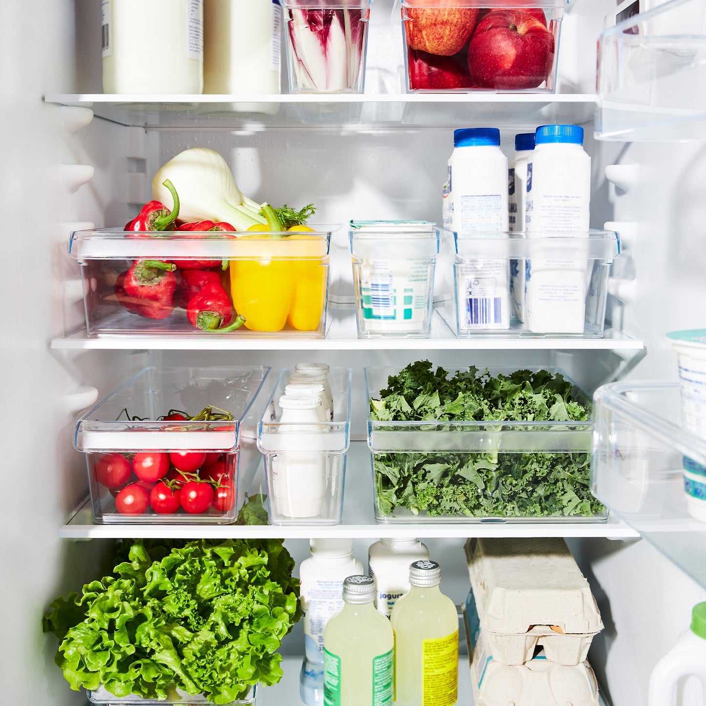 Rotho Fridge Organiser - 1.6 L